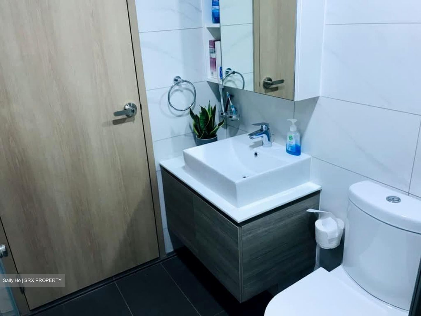 Treasure Crest (D19), Condominium #572146791